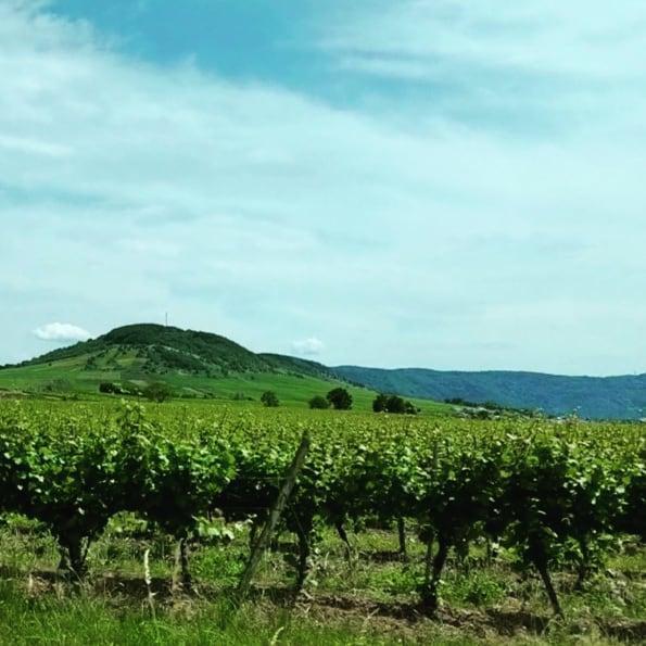 Vineyard retreat in Germany
