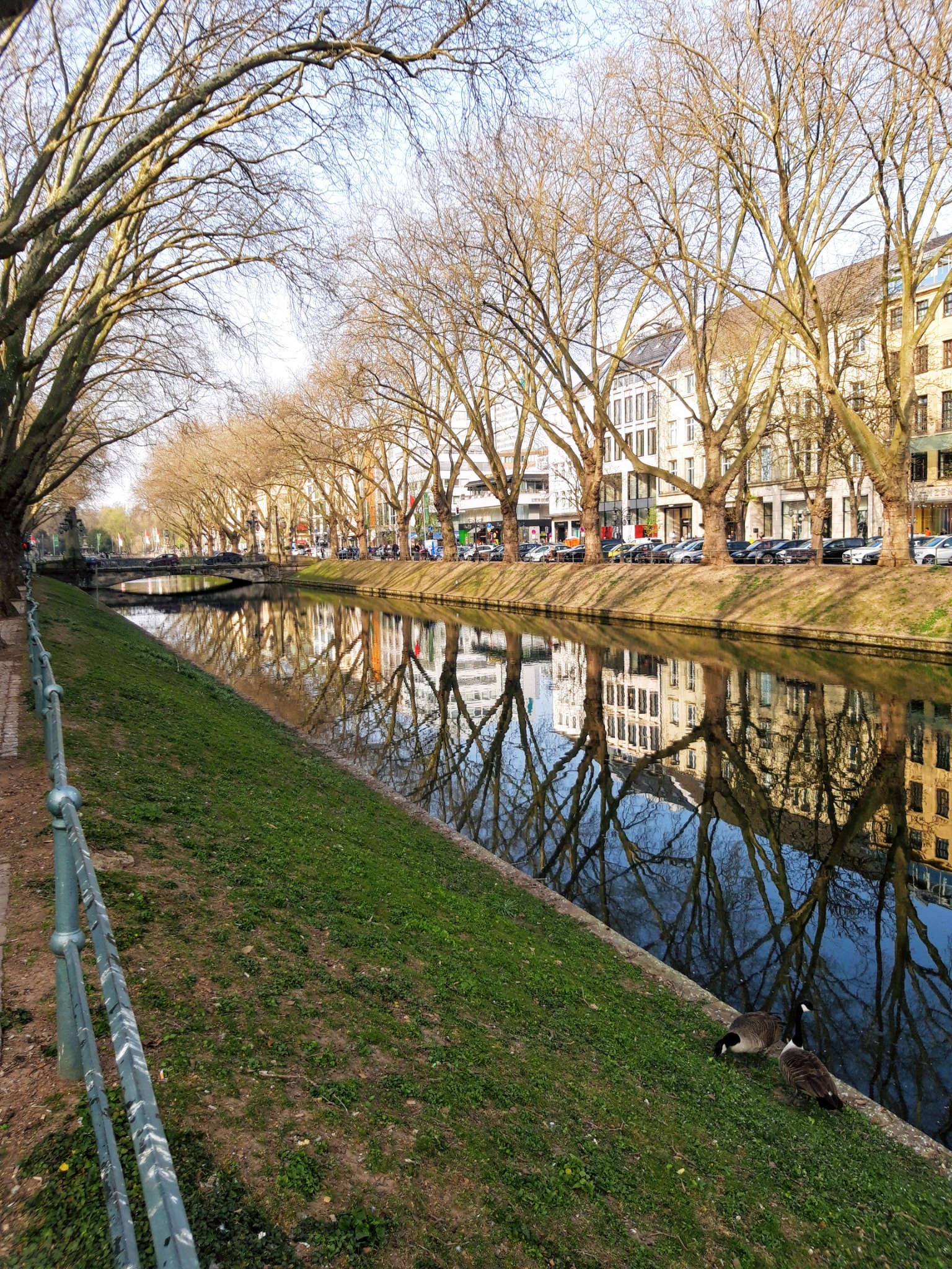 Düsseldorf canal and elegant urban scenery