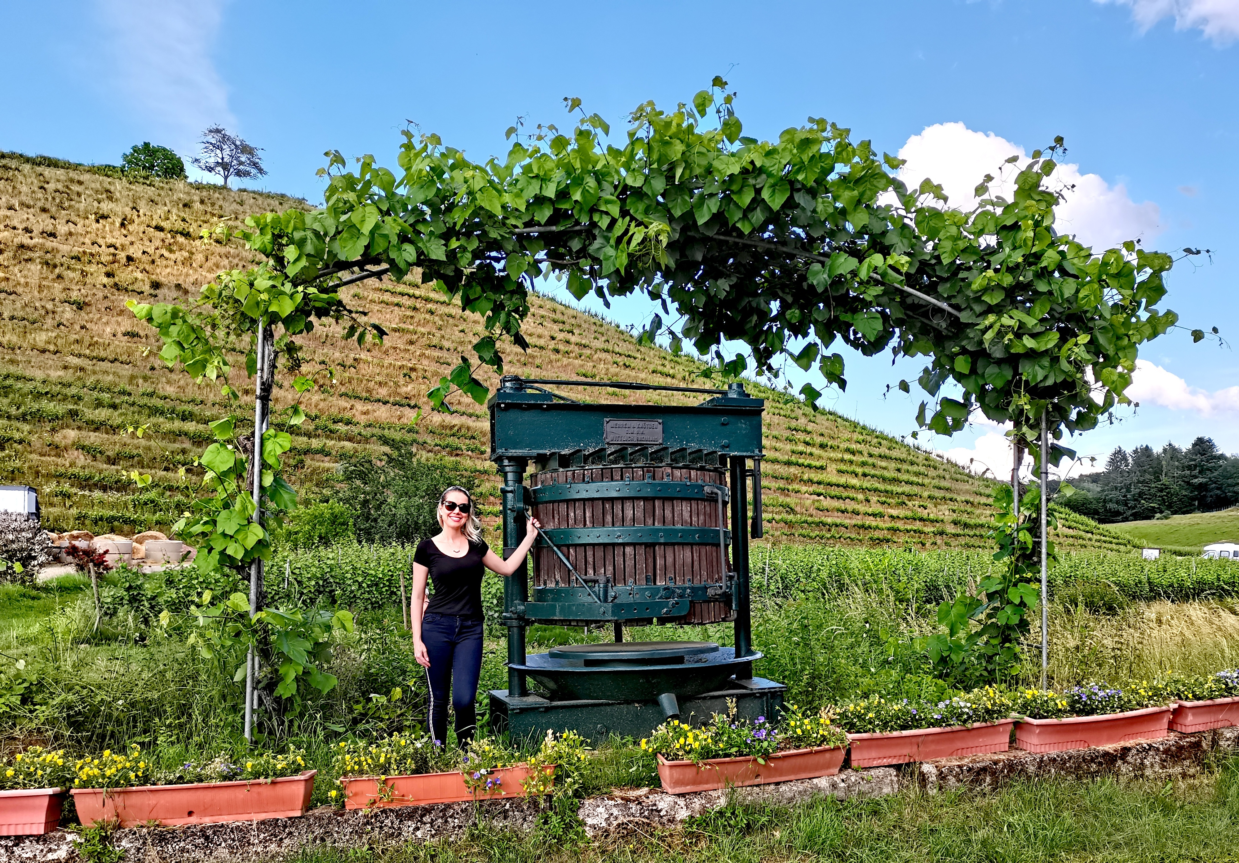 Arco de parreira com prensa antiga na Rota do Vinho Alemã